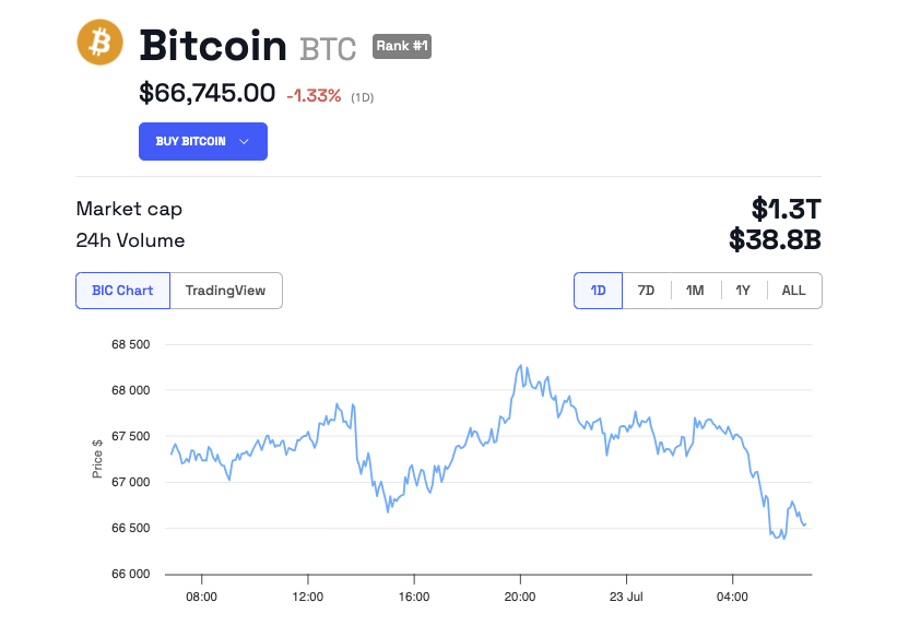 Bitcoin Price Performance